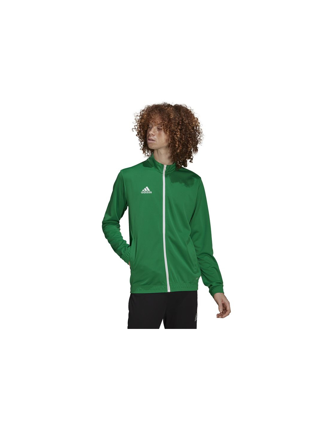 Chaqueta de fútbol adidas Entrada 22 M Green