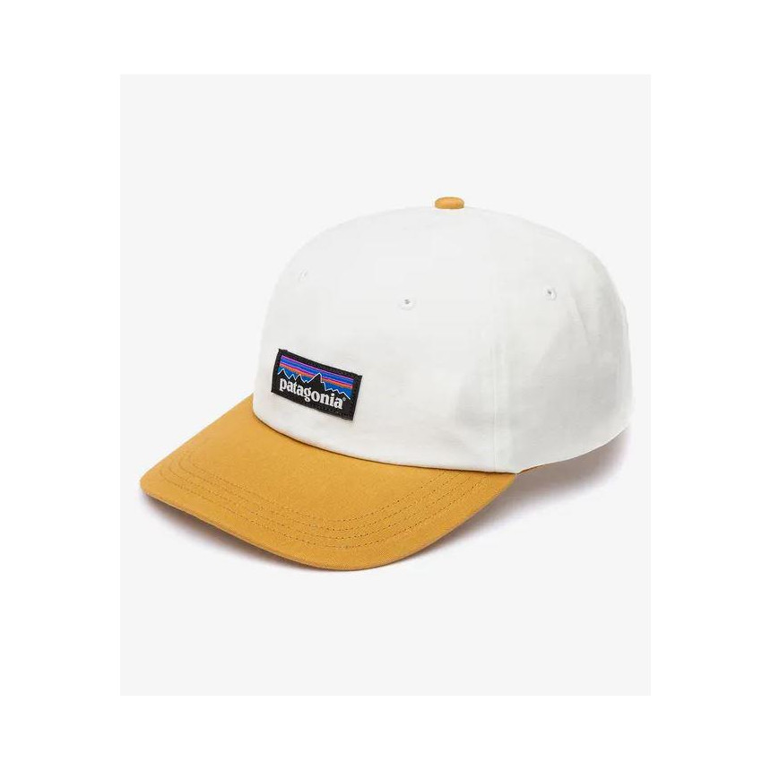 Gorra Patagonia P-6 Label Trad